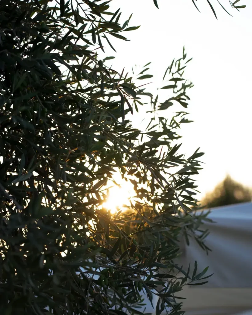 pizza-e-bolle-gallery-019