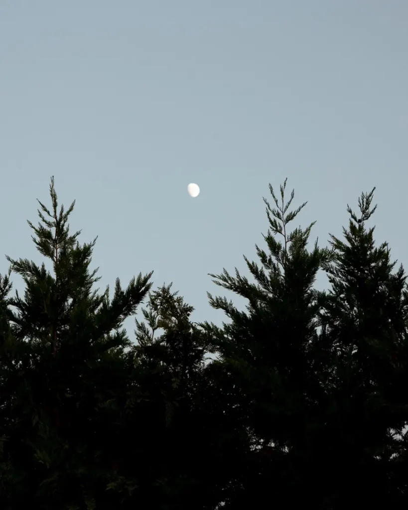 pizza-e-bolle-gallery-066