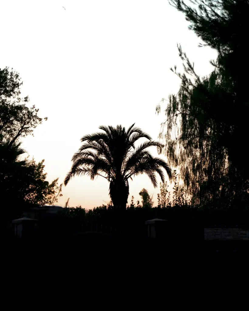 pizza-e-bolle-gallery-067