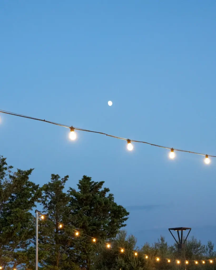 pizza-e-bolle-gallery-071